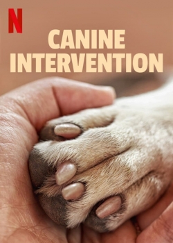 Watch Free Canine Intervention Movies Full HD Online