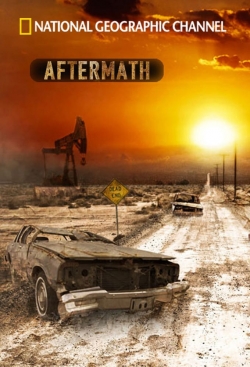 Watch Free Aftermath Movies Full HD Online