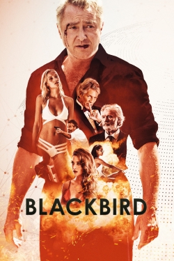 Watch Free Blackbird Movies Full HD Online