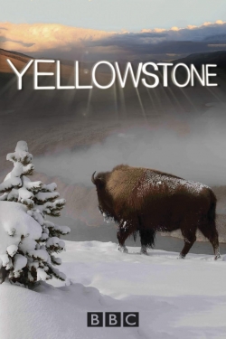 Watch Free Yellowstone Movies Full HD Online