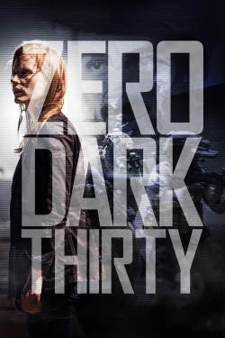 Watch Free Zero Dark Thirty Movies Full HD Online